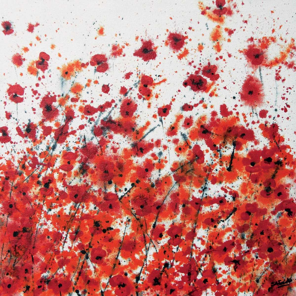 Red and Orange Flowers