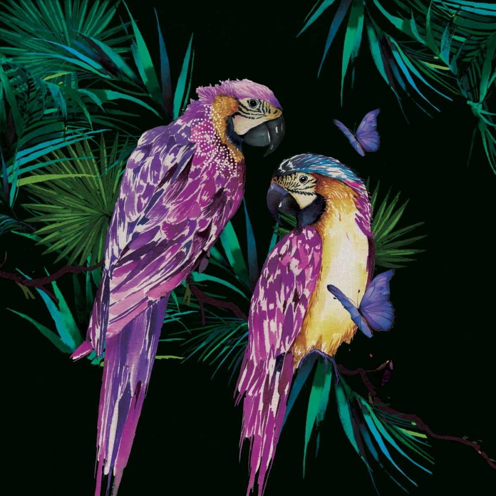 Parrots