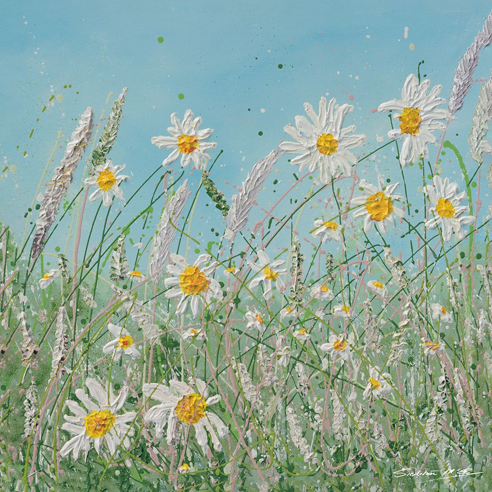 Daisy Meadow