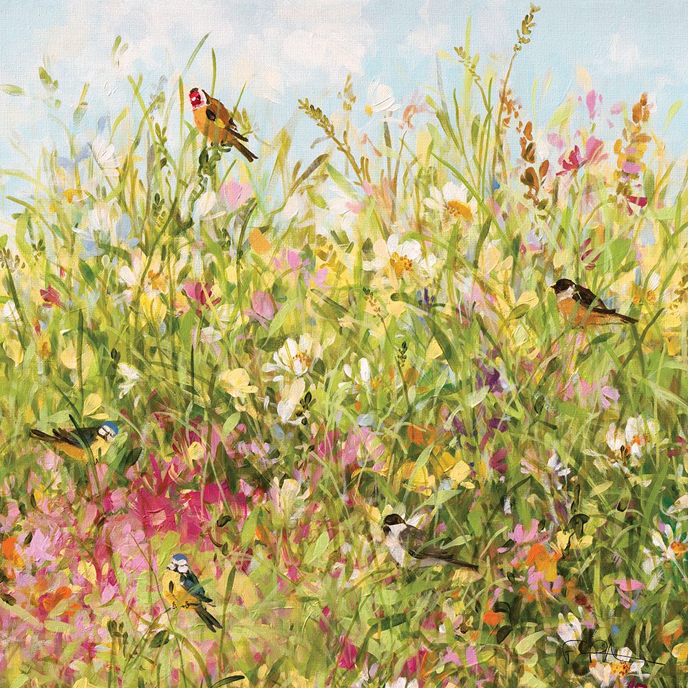 Field Border