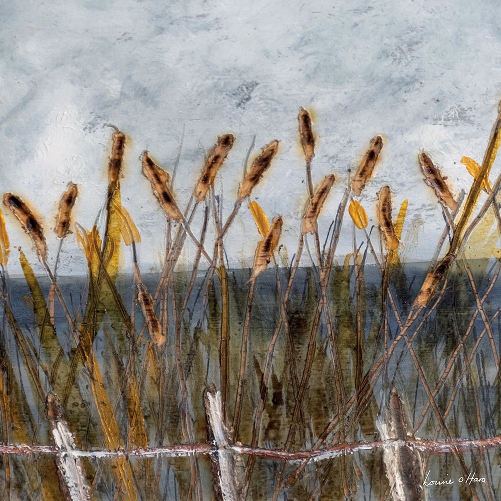 Autumn Bullrushes