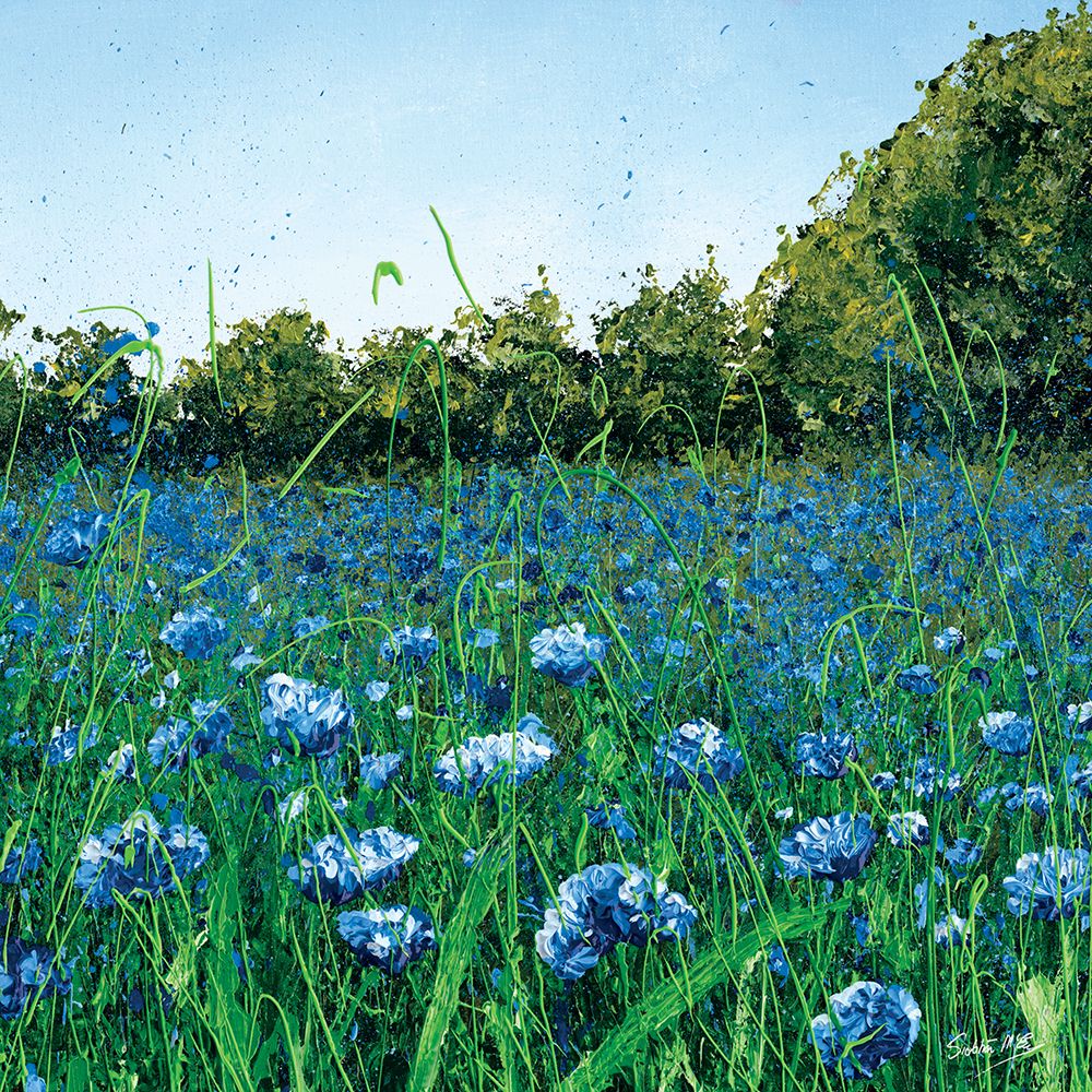 Cornflower Meadow