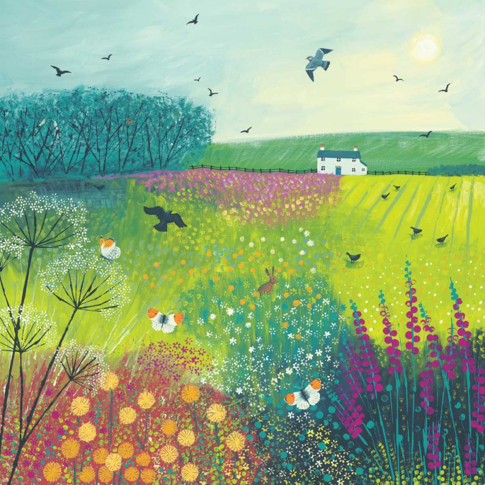 Midsummer Meadow