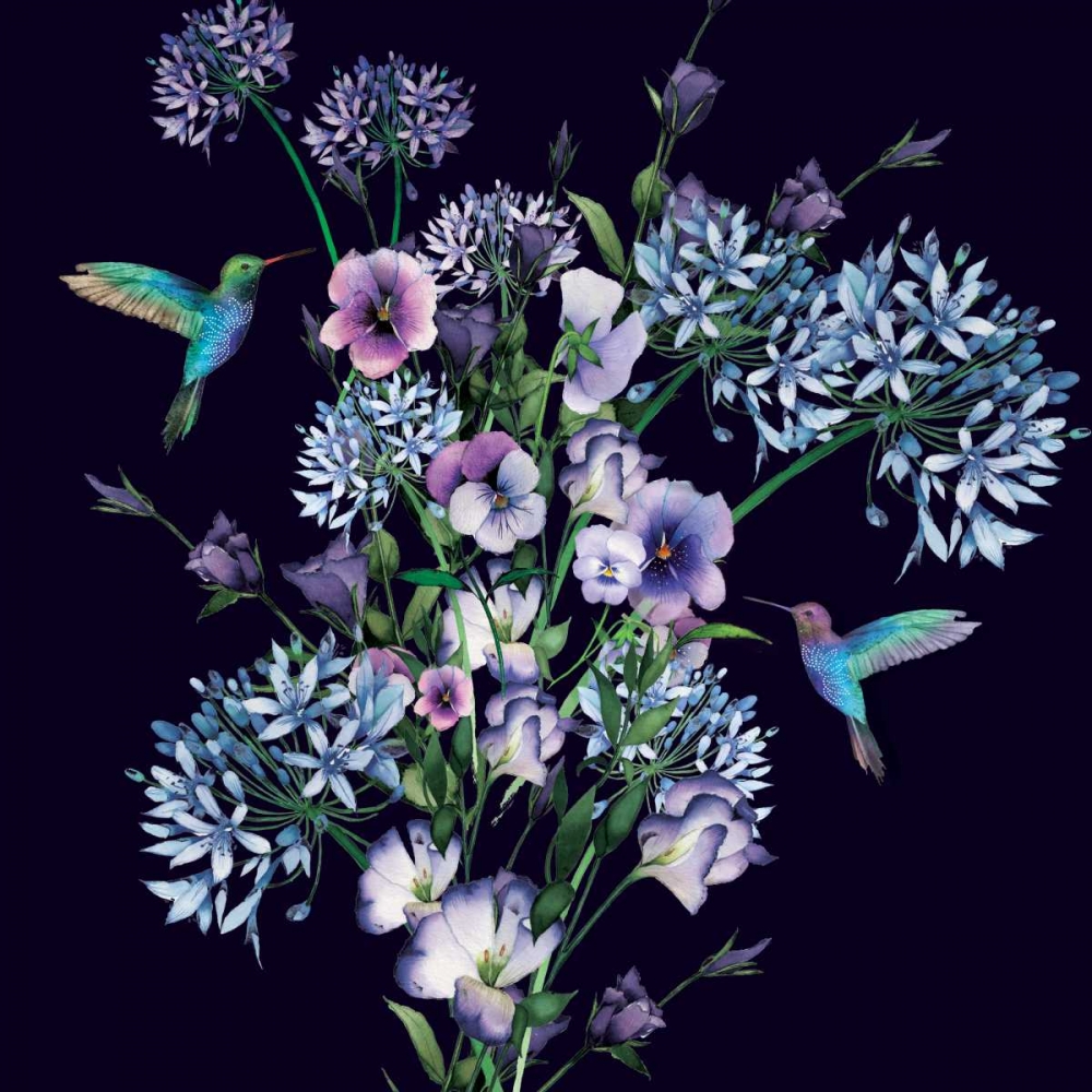 Hummingbirds