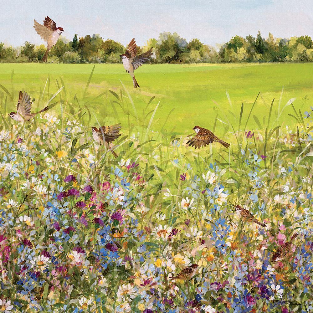 Open Meadow