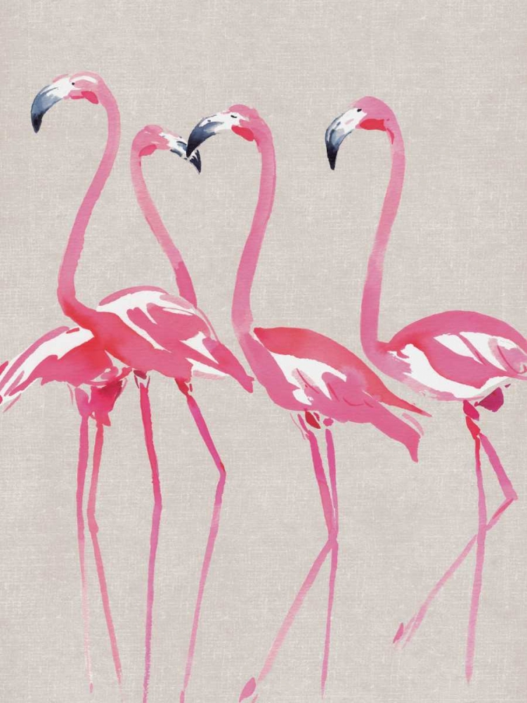 Elegant Flamingos