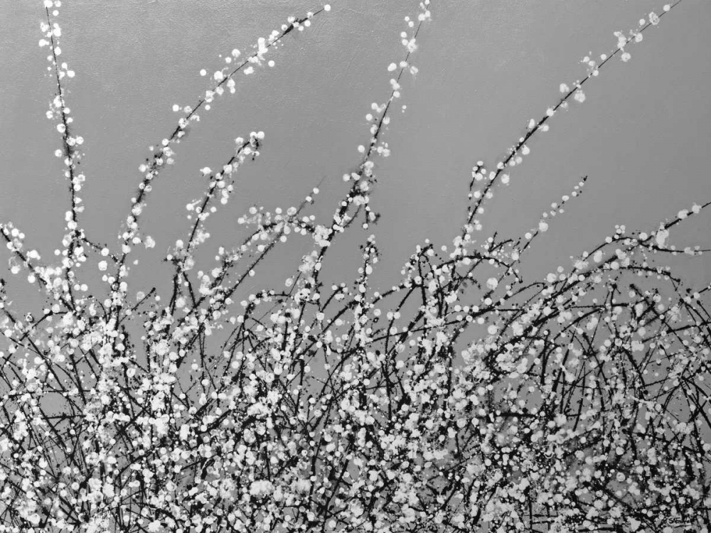 Early Blossom