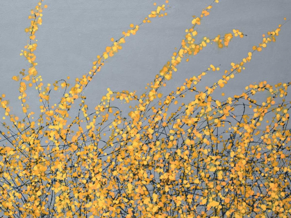 Yellow Blossom