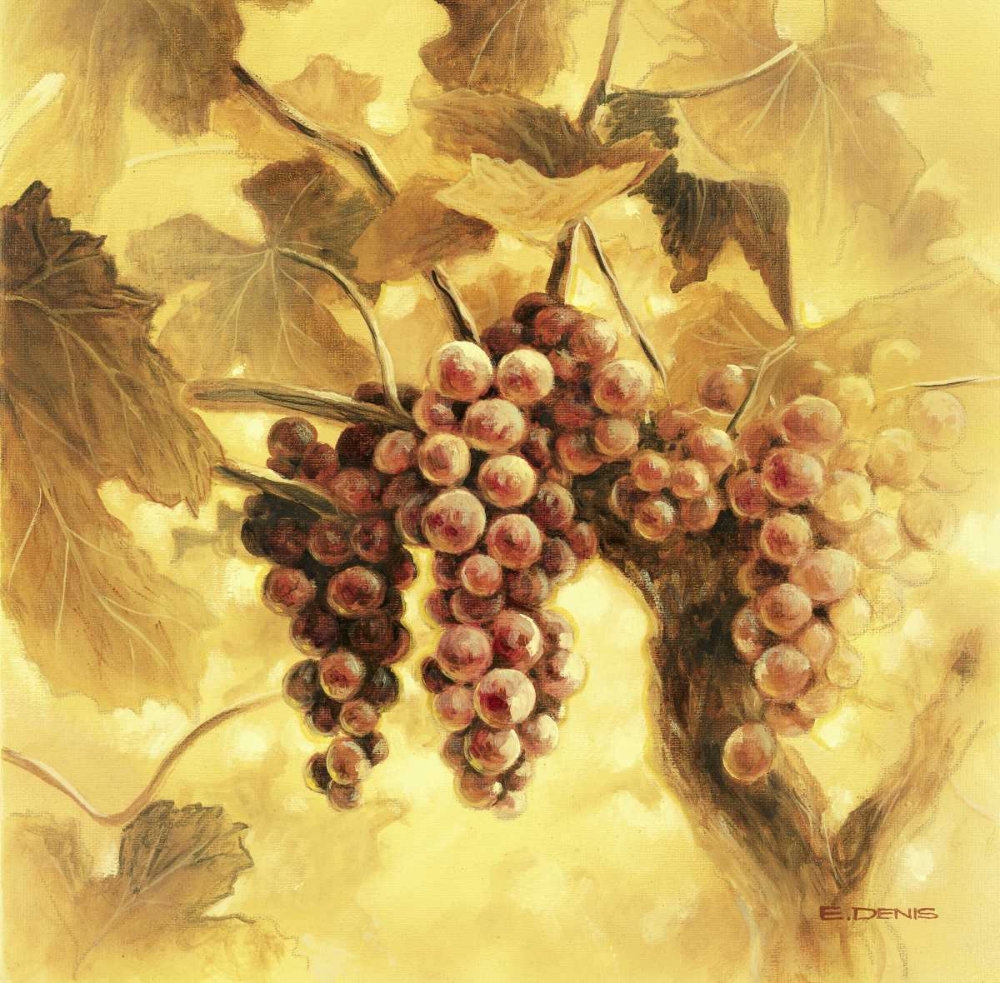 GrapesI