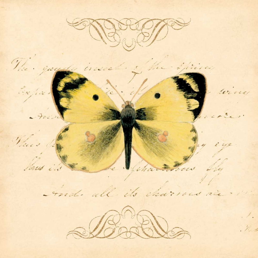 YELLOW BUTTERFLY