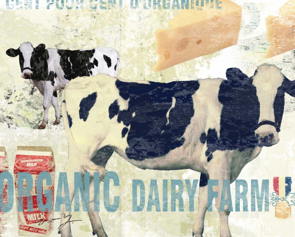 ORGANIC DAIRY FARM