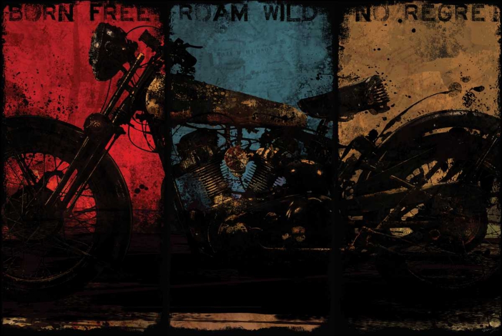 BORN FREE MULTI
