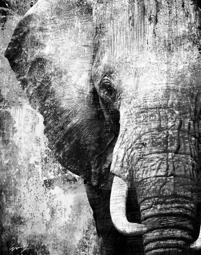 AFRICAN ANIMALS I - grey