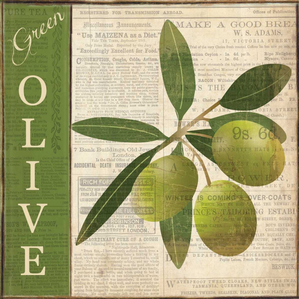 GREEN OLIVE