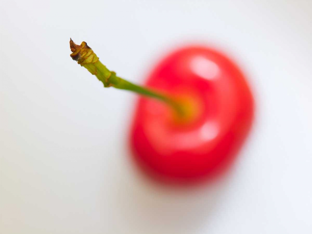 Close-up of cherry, studio shot