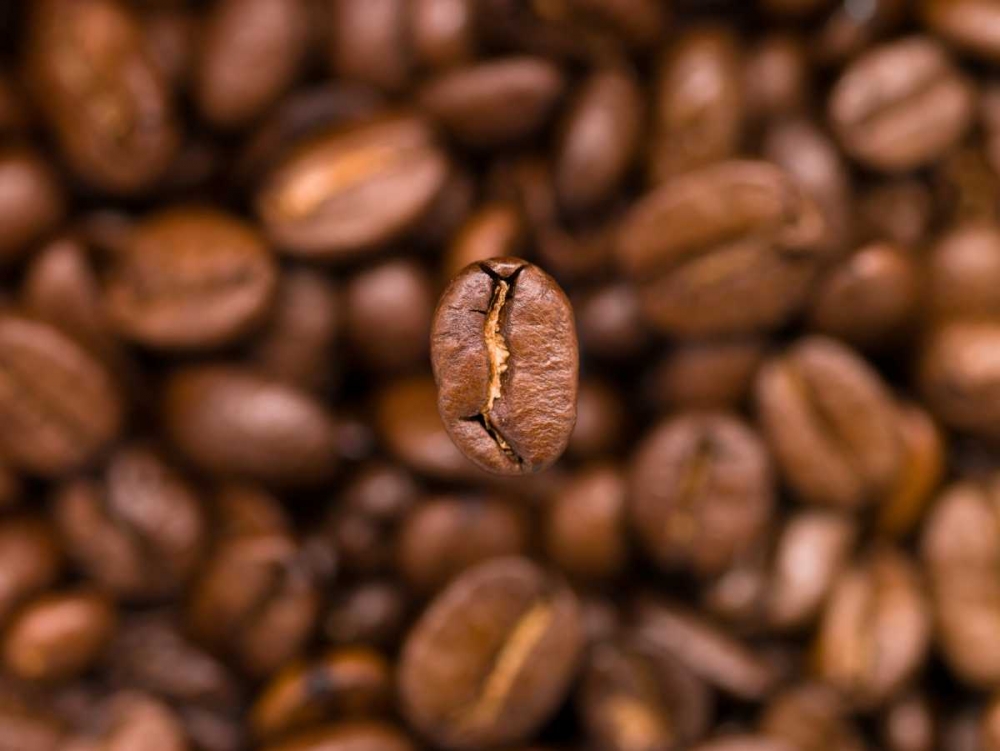 Top view of coffee beans