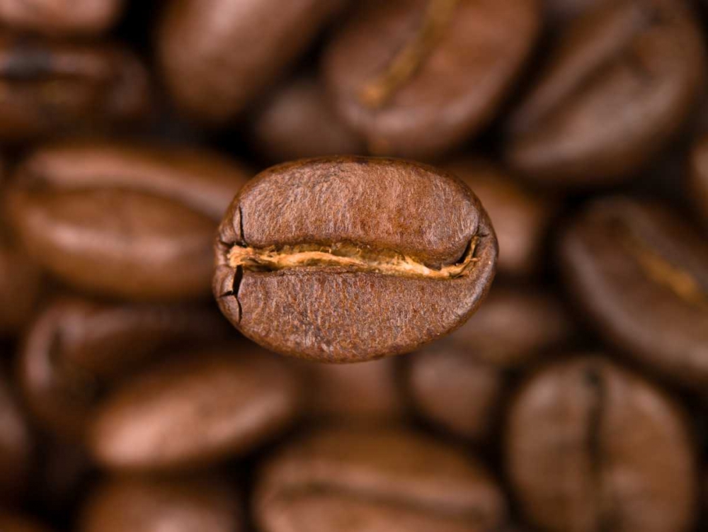 Top view of coffee beans