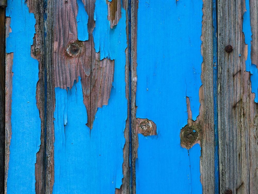 Paint on old door surface