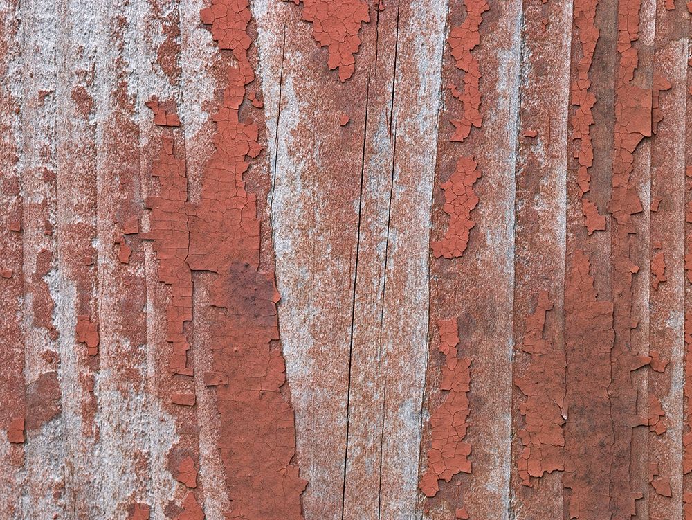 Paint on old door surface