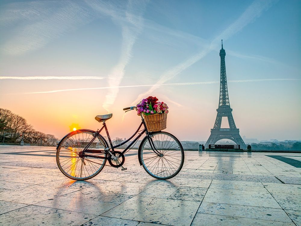 Bicycle and Eiffel tower