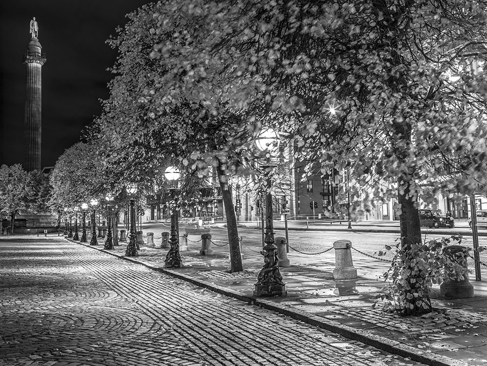 Row of trees at night