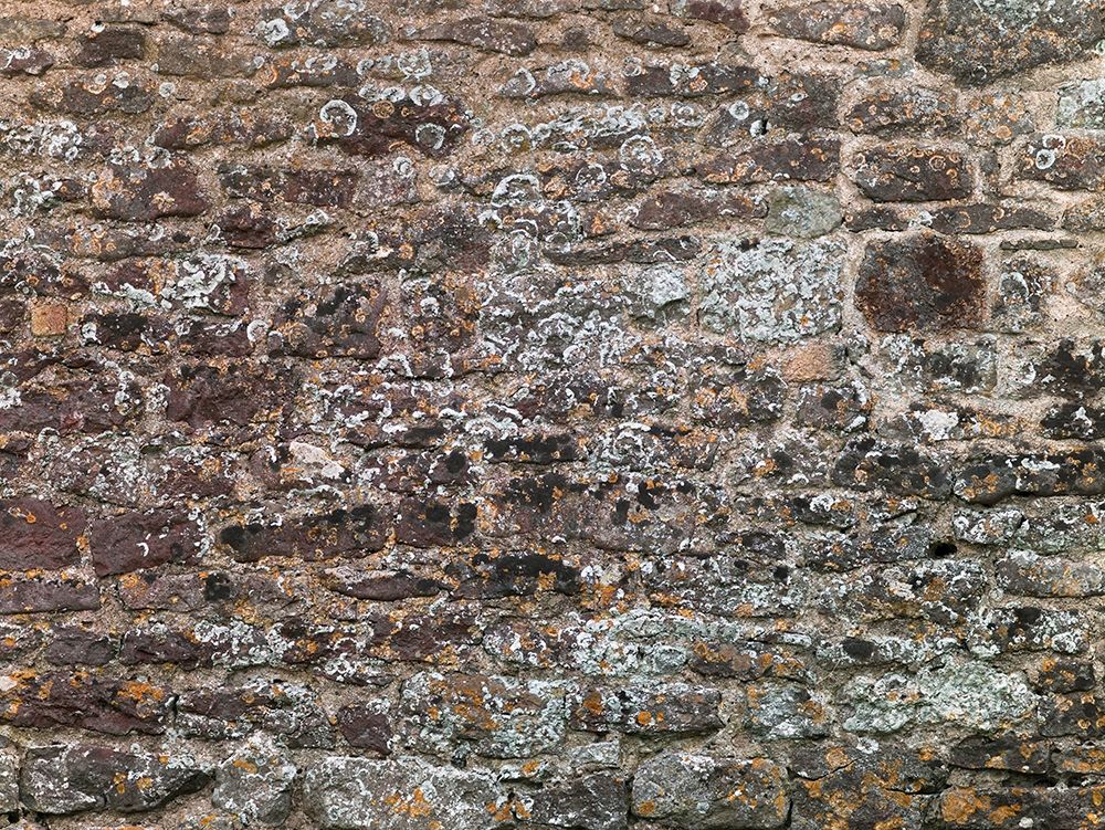 Old wall