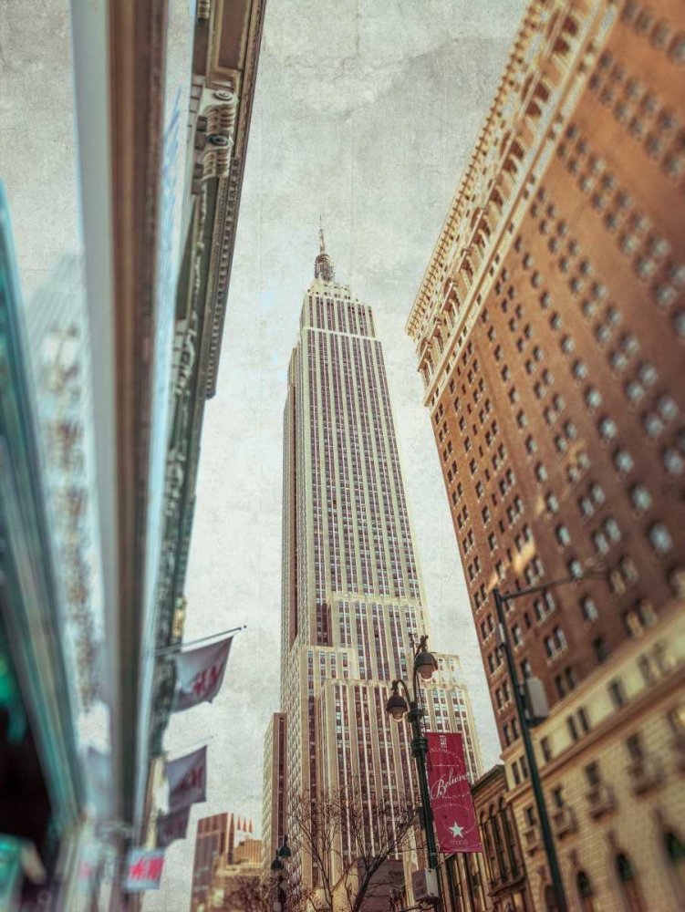 Low angle shot of a Empire State building - New York