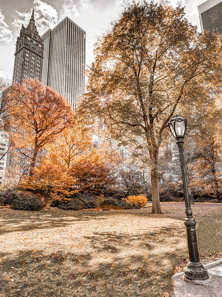 Central park in autumn-Manhattan-New York
