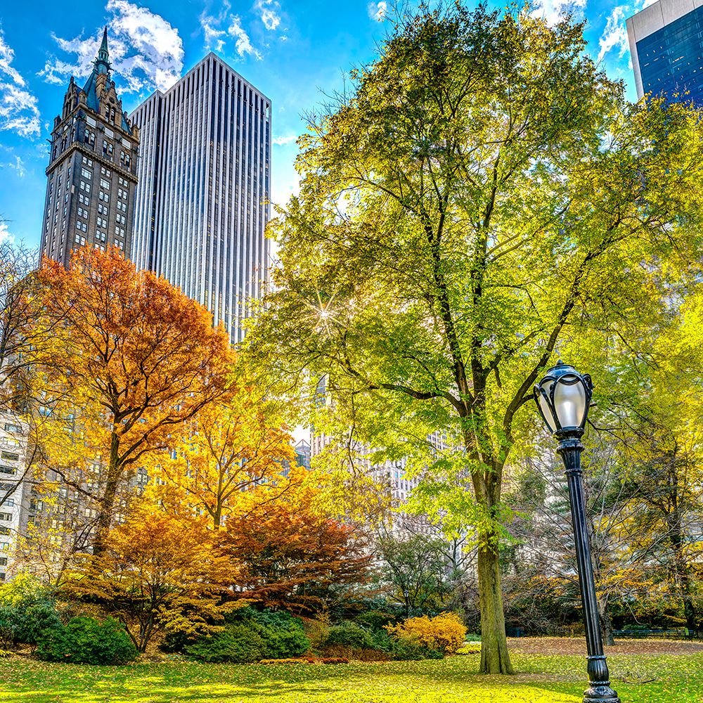 Central park in autumn, Manhattan, New York