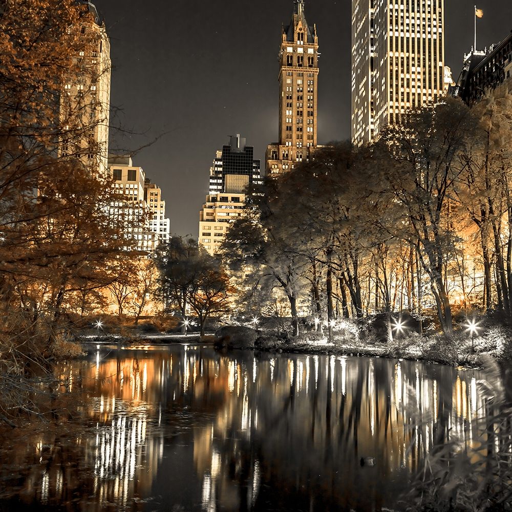 Evening view of Central Park in New York City