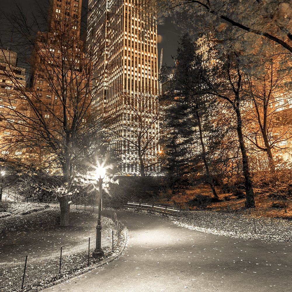 Evening view of Central Park in New York City