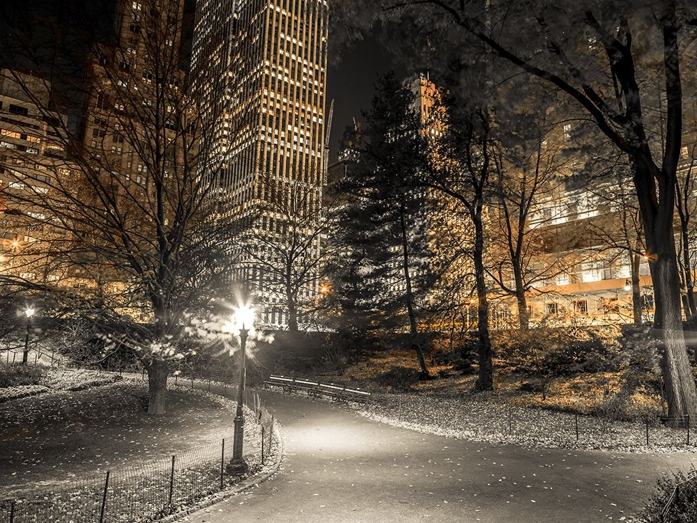 Evening view of Central Park in New York City