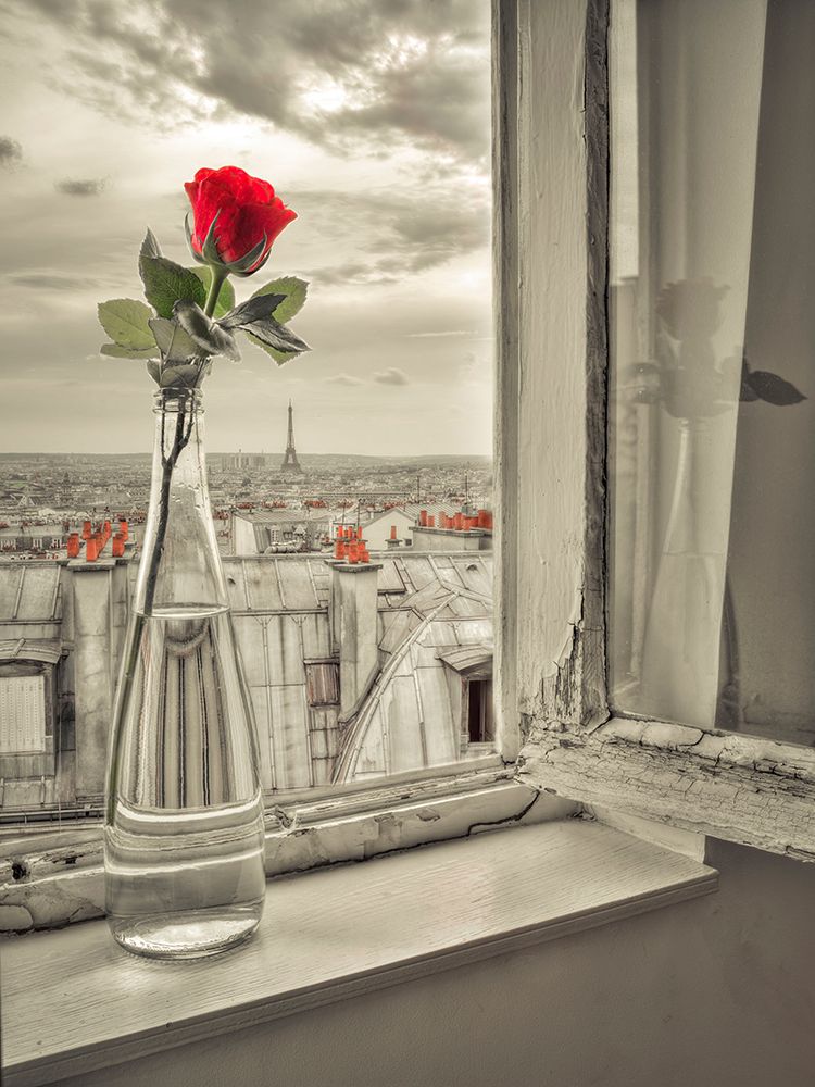 Flower vase on window with Eiffle tower in background, Paris