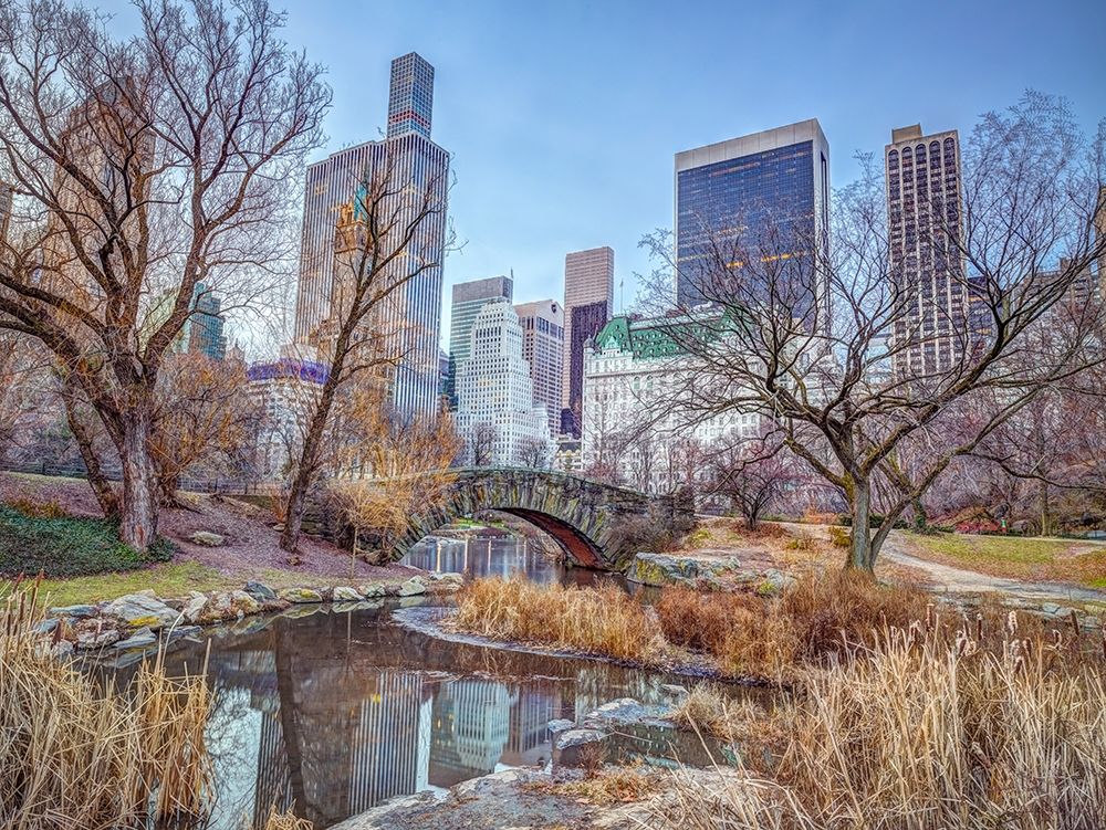 Central park with Manhattan skyline-New York