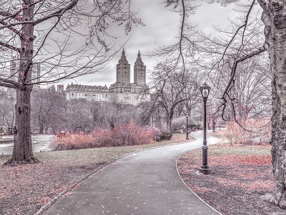 Pathway through Central park-New York