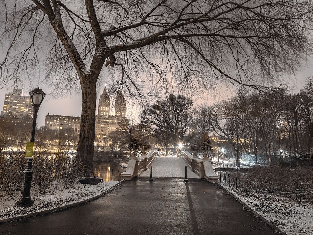 Evening view of Central park-New York