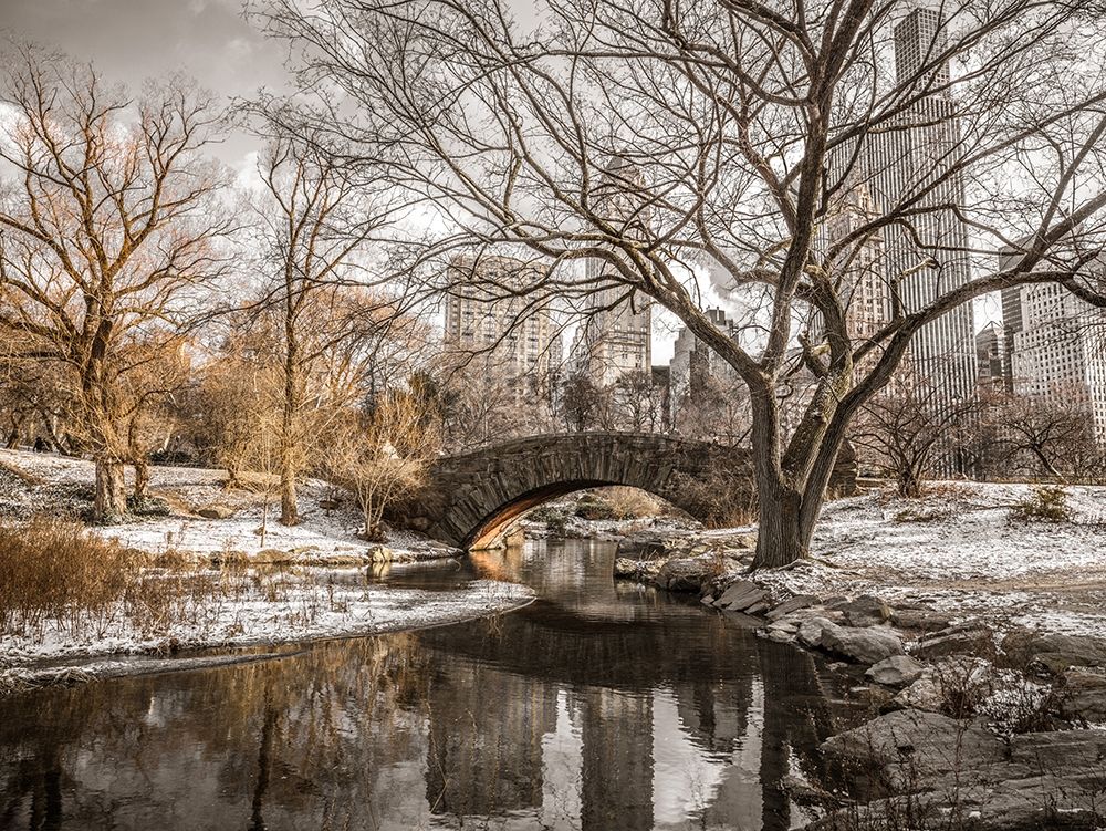 Central park in New York