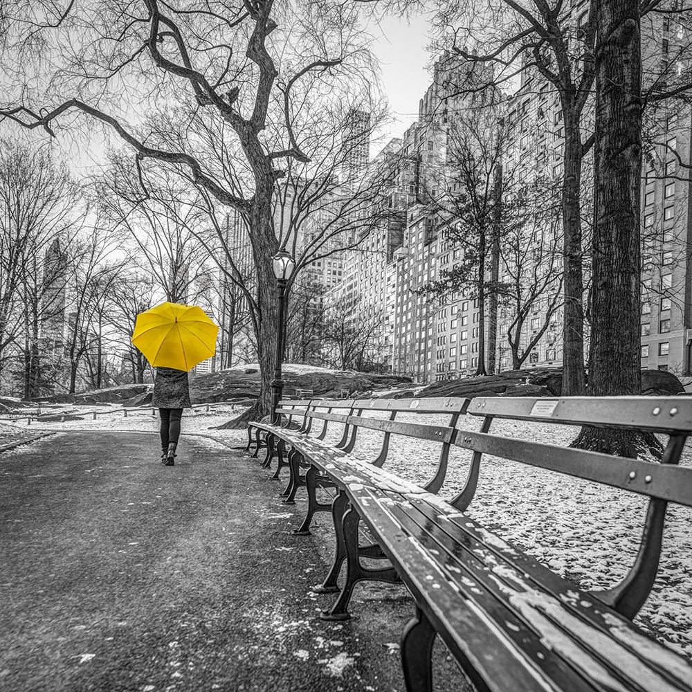Tourist on pathway with Yellow umbrella at Central park-New York