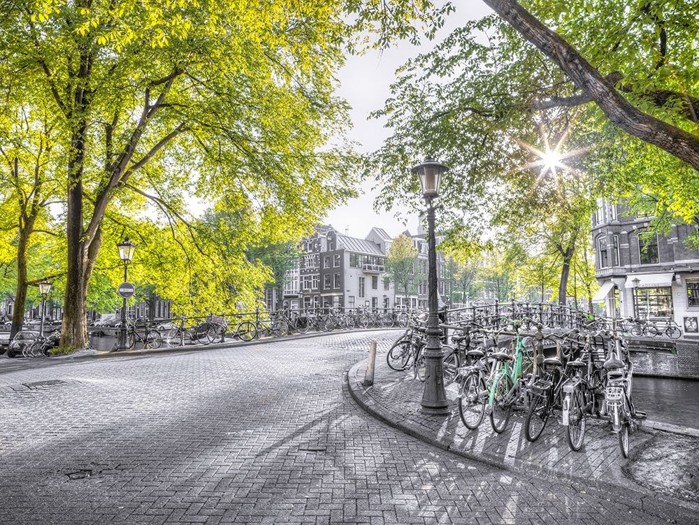 Amsterdam city street