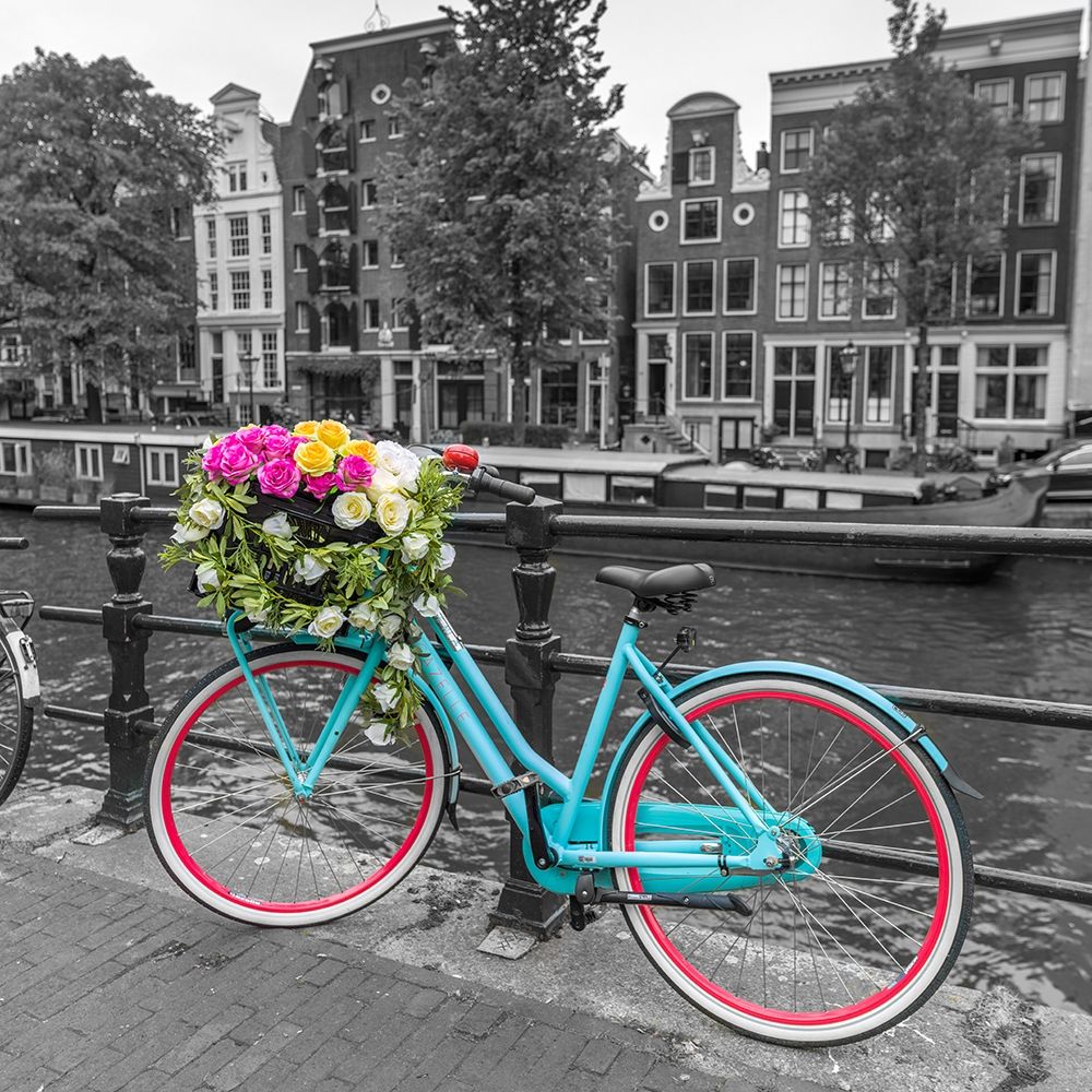 Bicycle with bunch of roses on bridge-Amsterdam