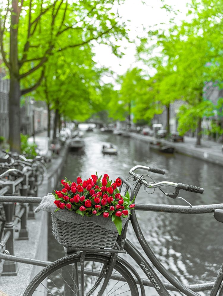 Bicycle with bunch of flowers by the canal-Amsterdam
