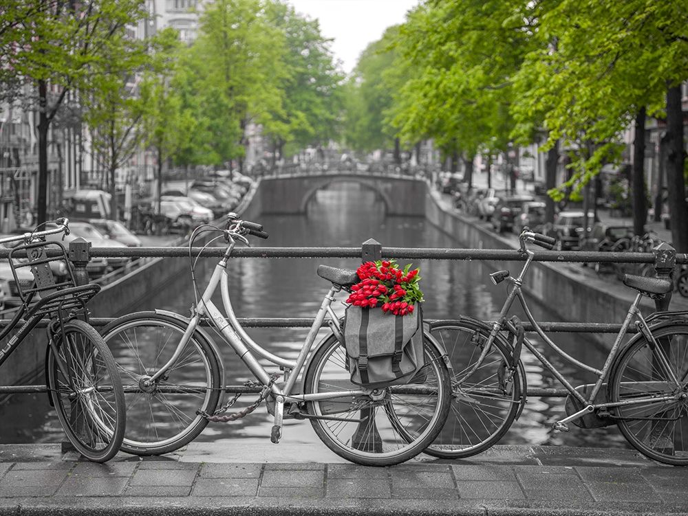 Bicycle with bunch of flowers by the canal, Amsterdam