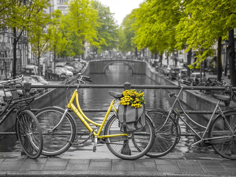 Bicycle with bunch of flowers by the canal, Amsterdam