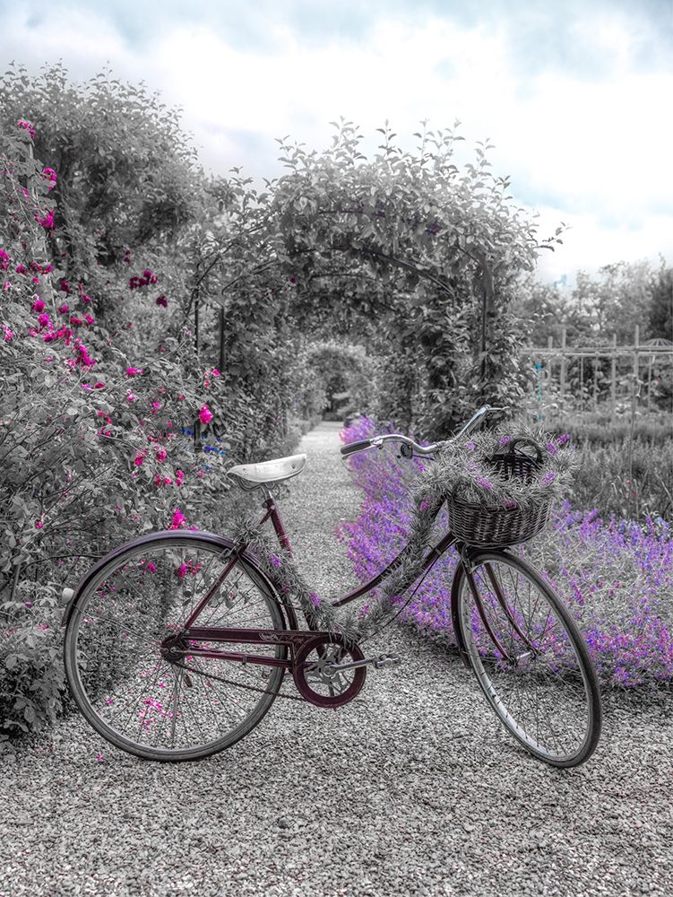 Bicycle on a garden path