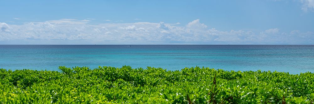 Beautiful Seascape in Barbados