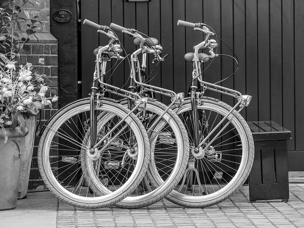 Bicycles parked along the street