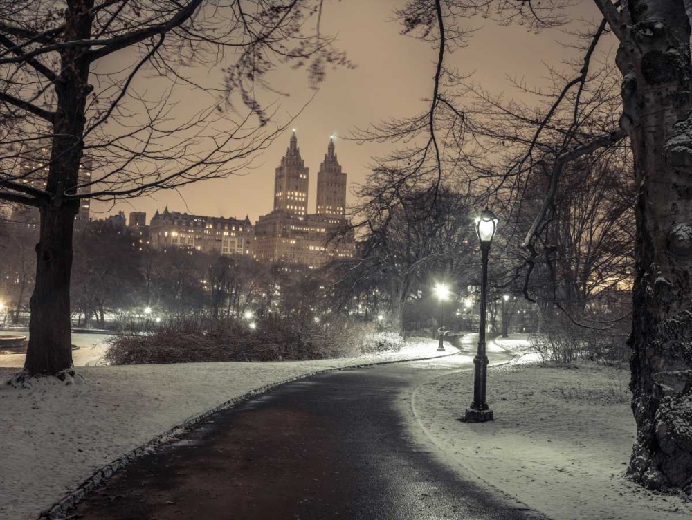 Path in cental park at night, winter, snow, New York.
