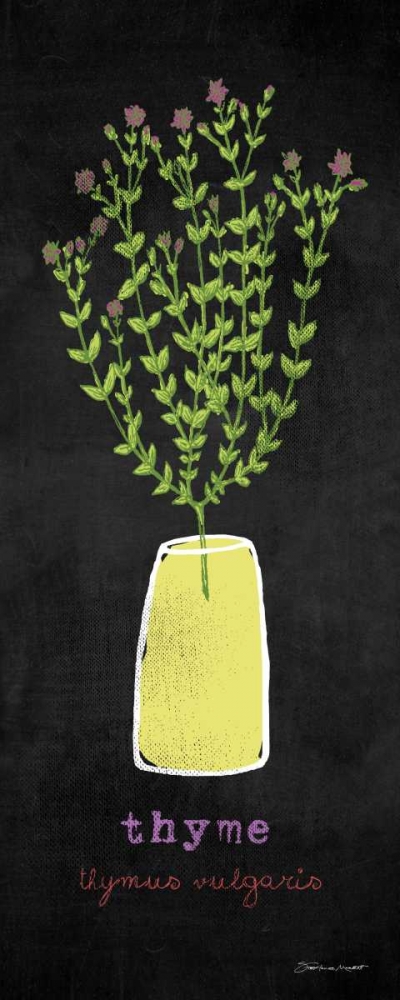 Thyme