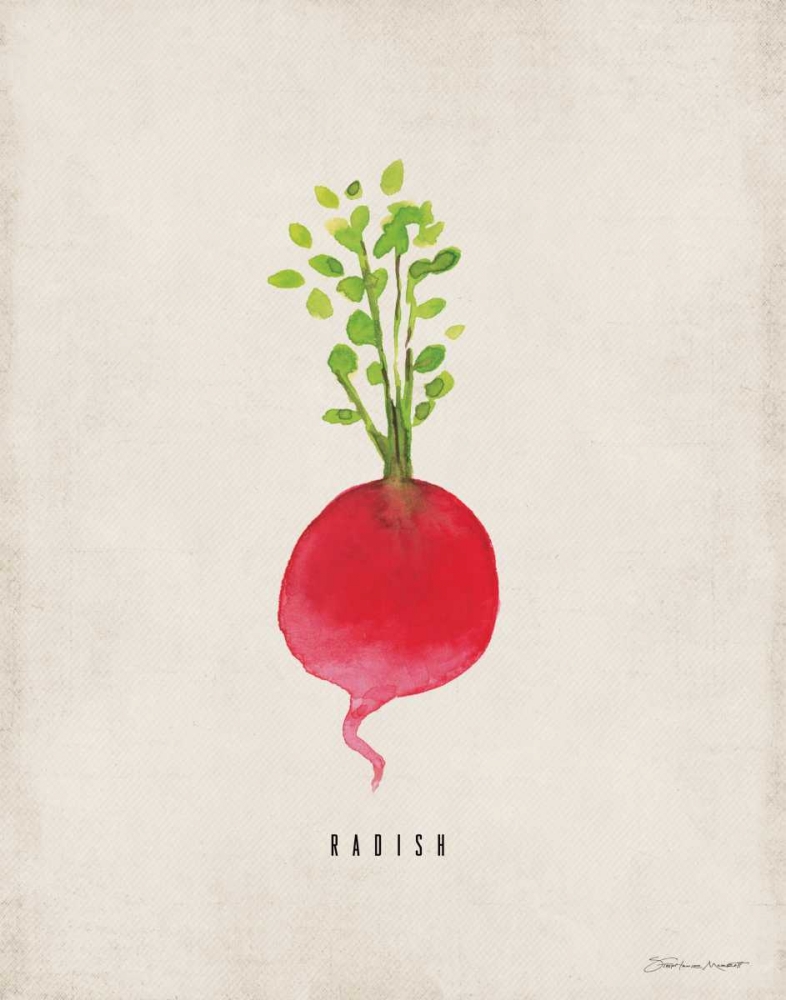 Radish