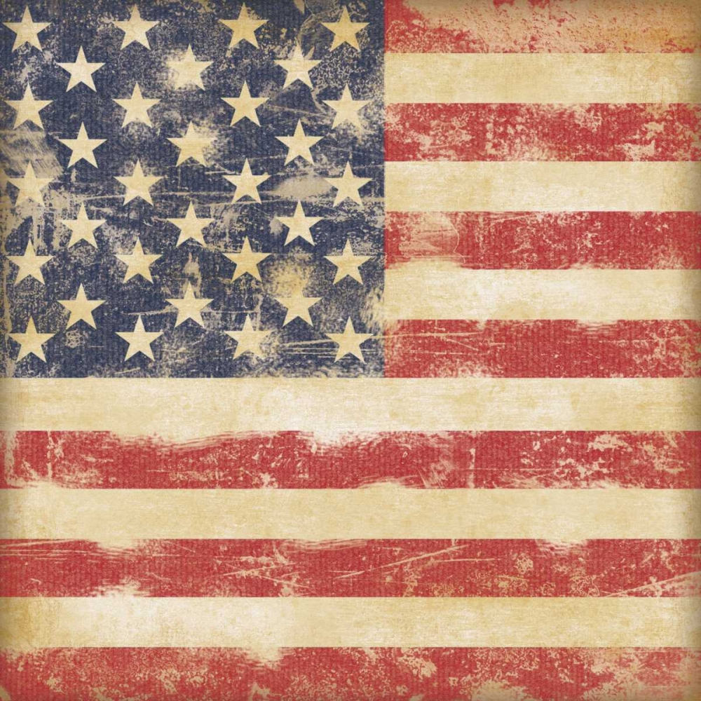 USA Flag